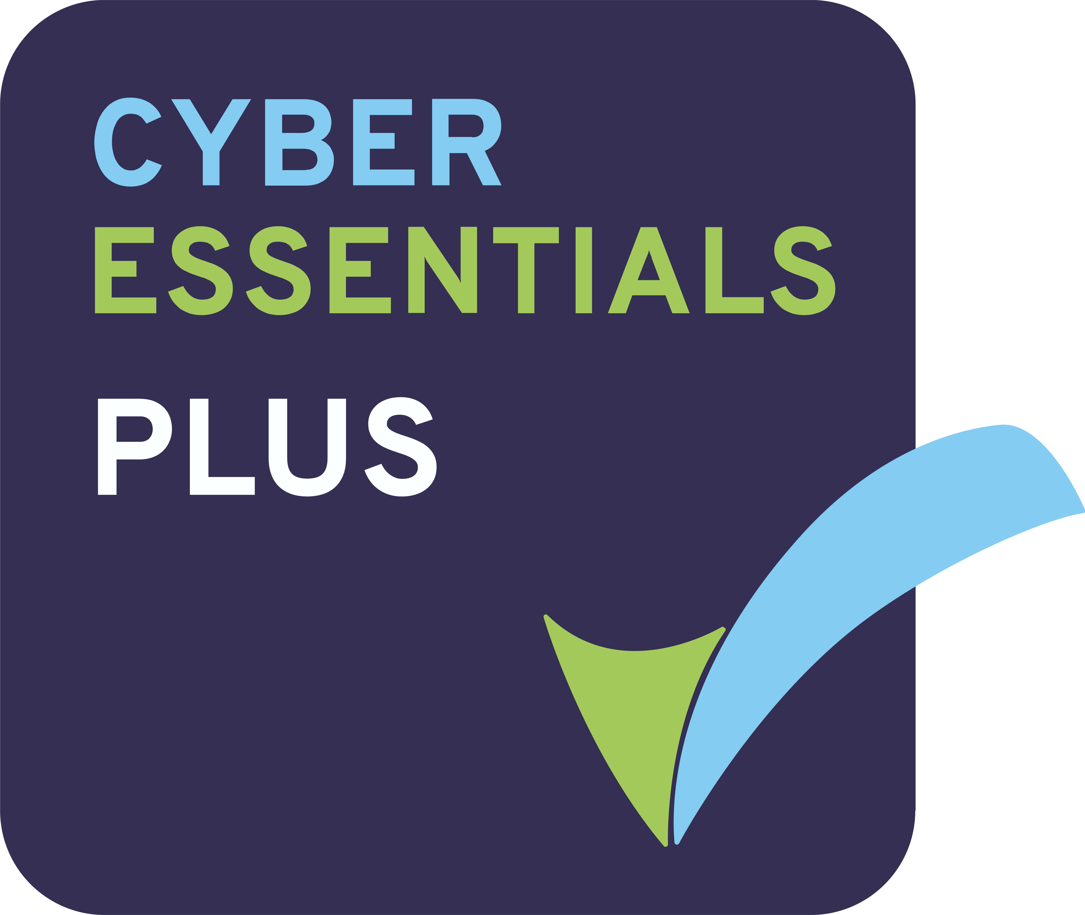 Government Cyber Essentials Plus Accreditation achievement for Kidd Rapinet